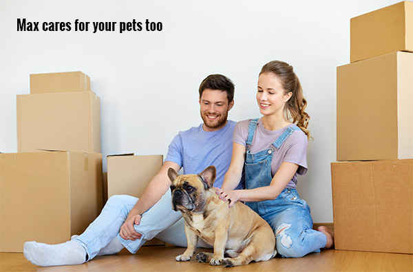 Pet Friendly Movers